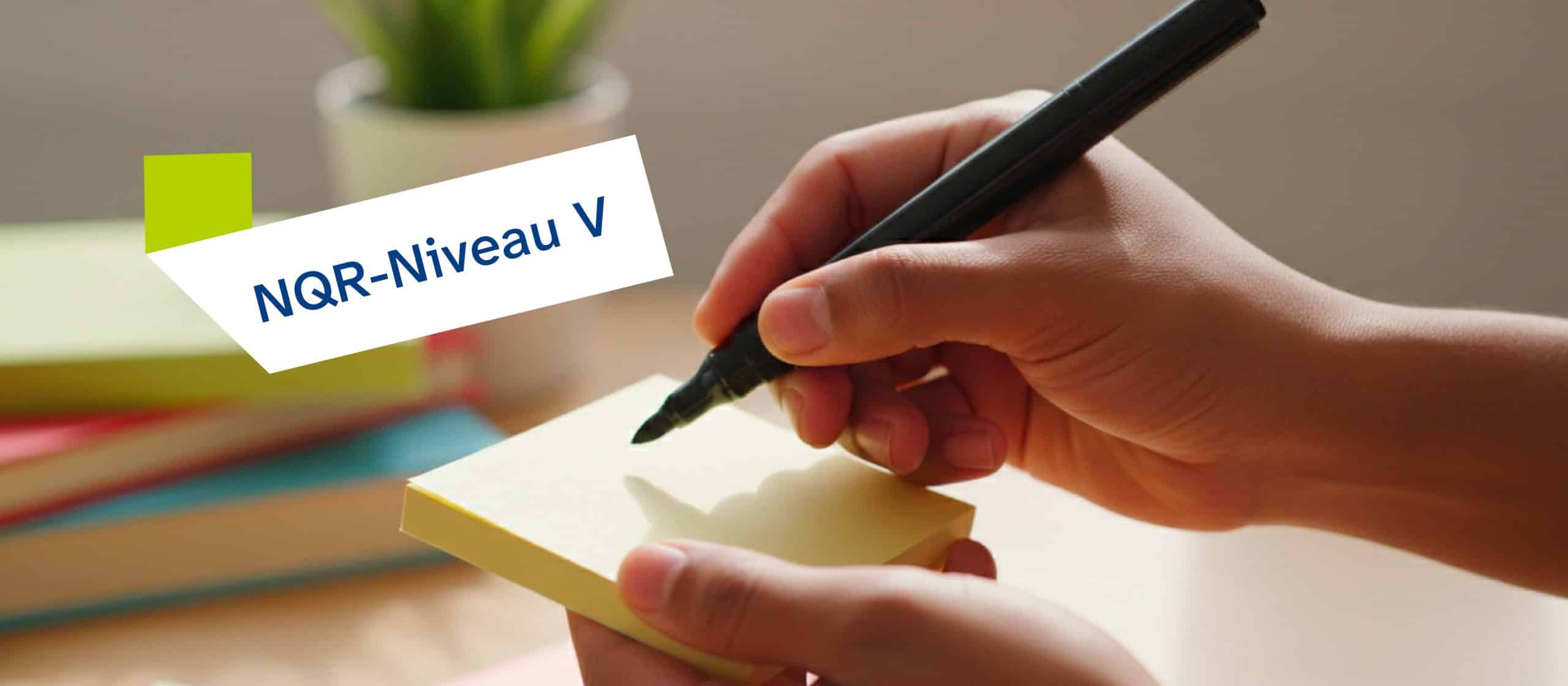 Eine Person schreibt mit einem schwarzen Stift auf einen gelben Notizzettel. Im Hintergrund Bücher und eine Pflanze. NQR-Nive